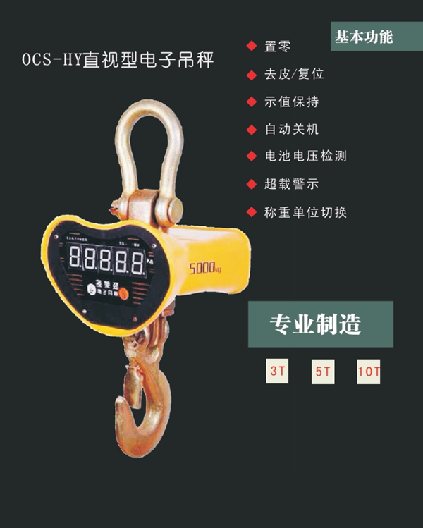 FH体育,长沙电动葫芦,长沙钢丝绳,电子吊秤哪里的好