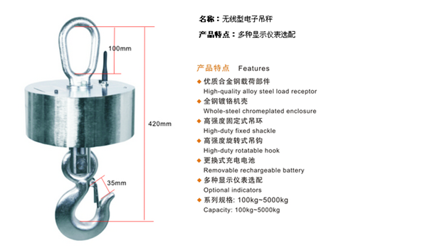 FH体育,长沙电动葫芦,长沙钢丝绳,电子吊秤哪里的好