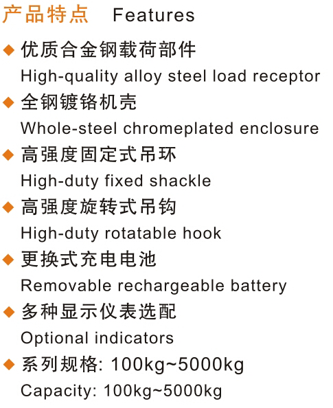FH体育,长沙电动葫芦,长沙钢丝绳,电子吊秤哪里的好
